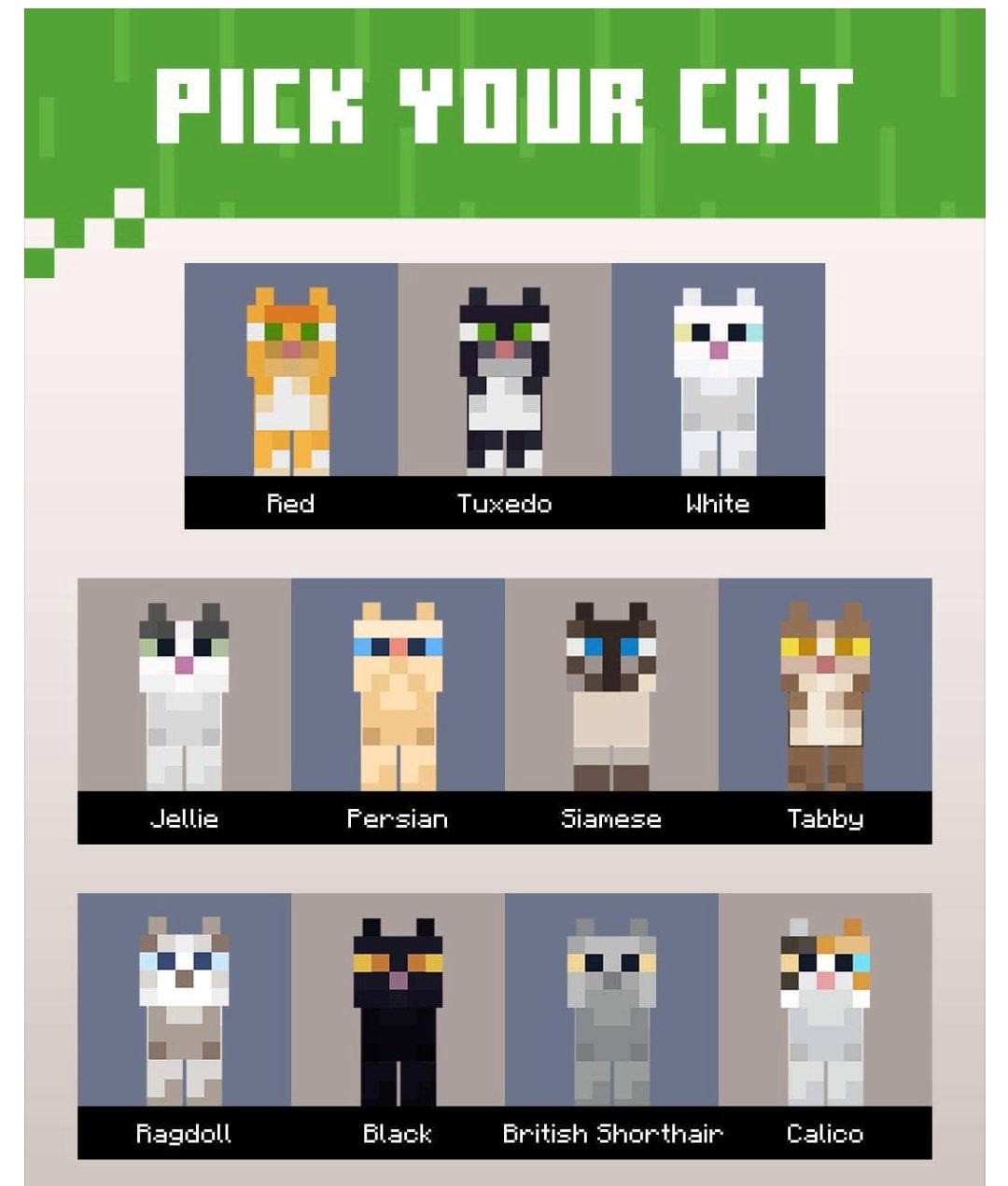 Cat faces. Choose your favourite Minecraft cats and give them a cozy home.